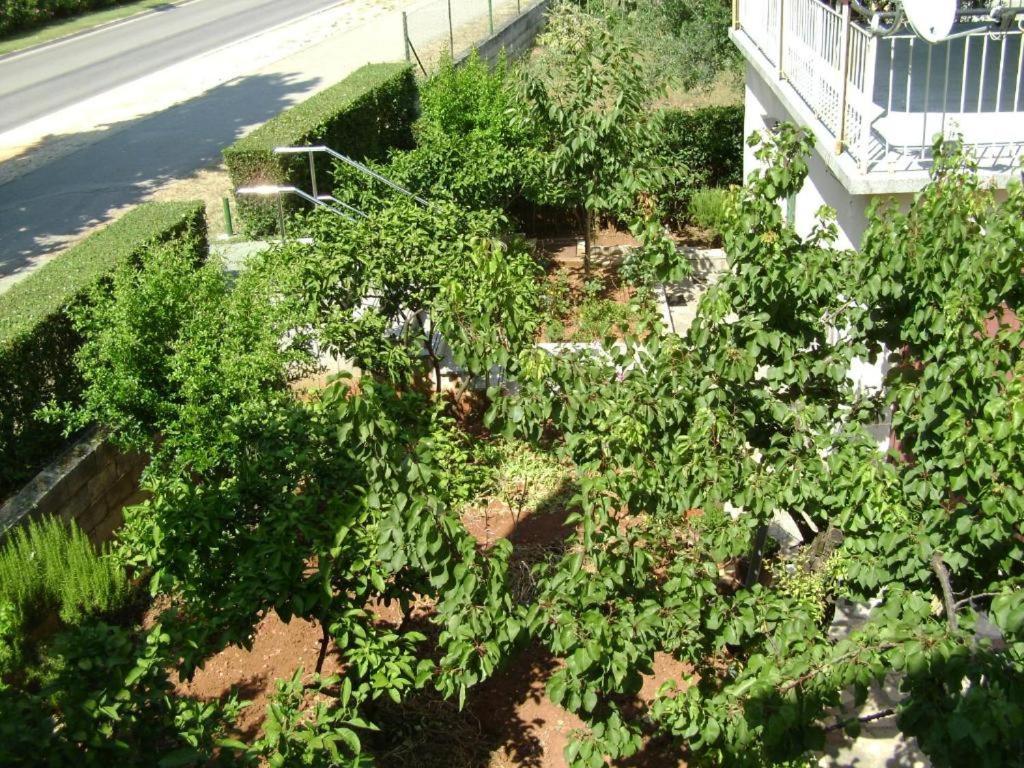 Apartmani Tome Zadar Exterior photo