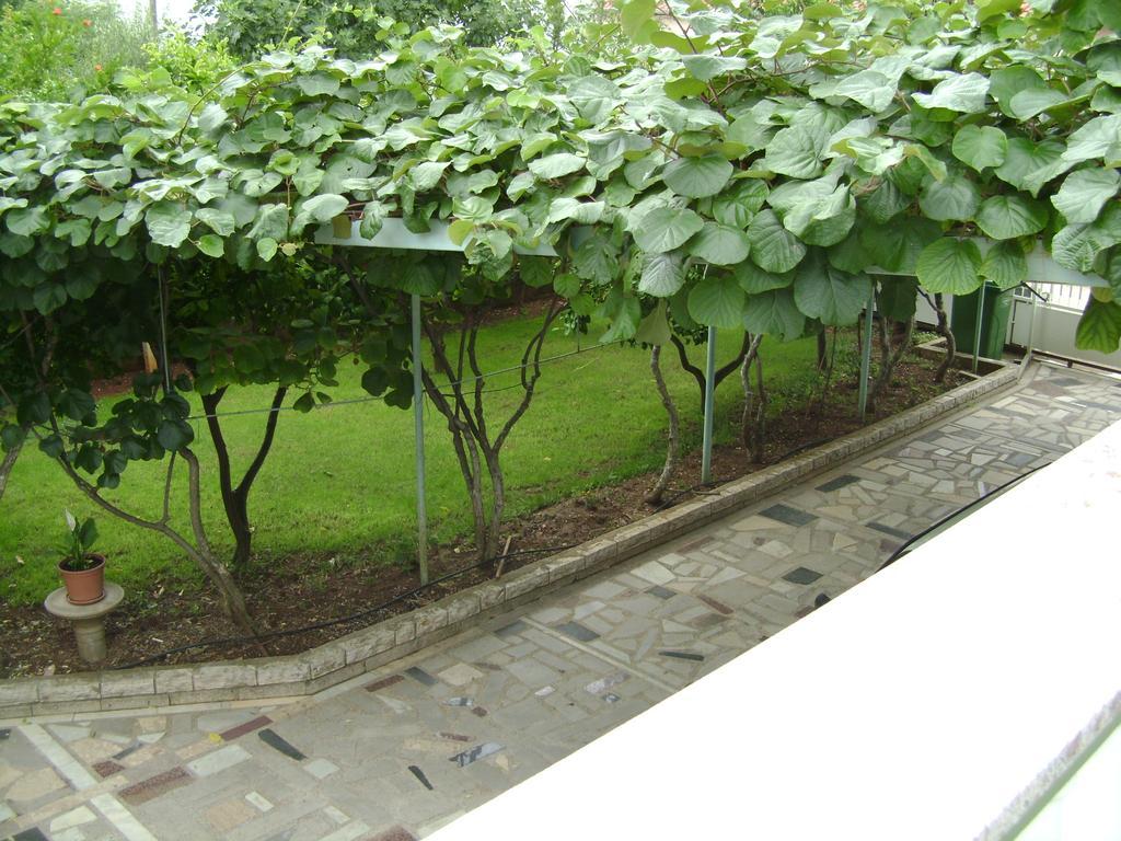 Apartmani Tome Zadar Exterior photo