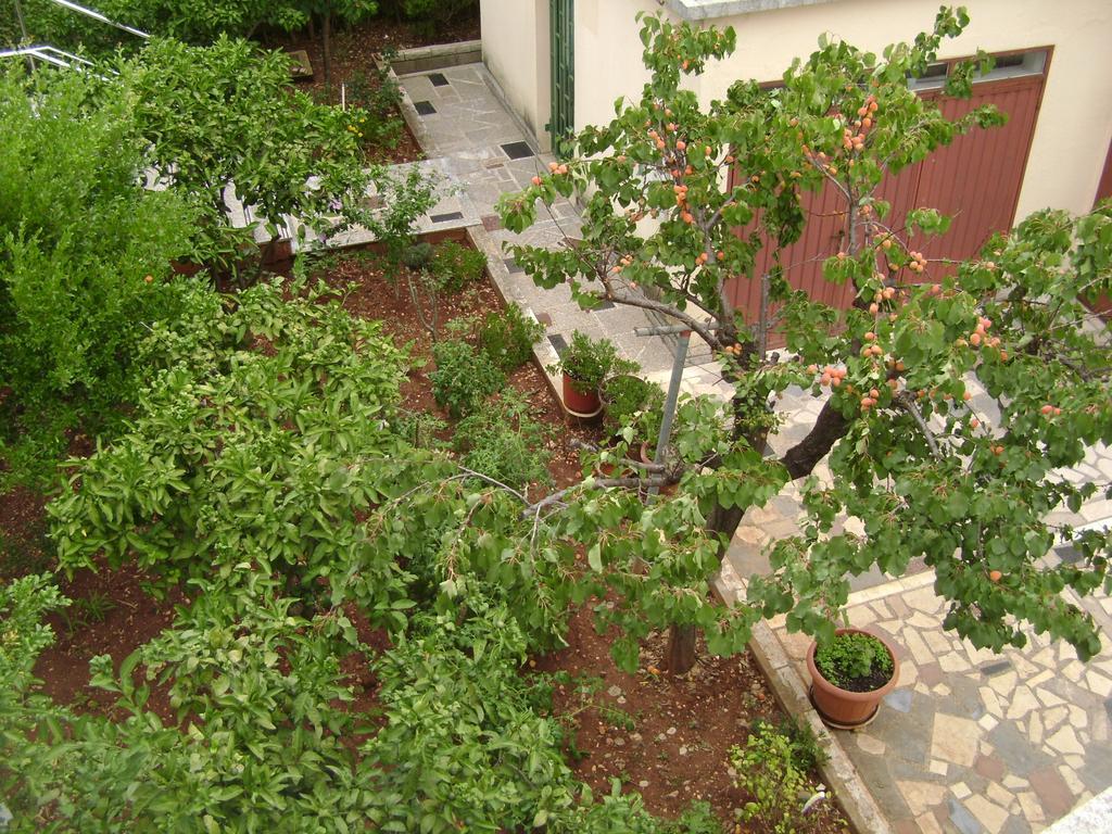Apartmani Tome Zadar Exterior photo